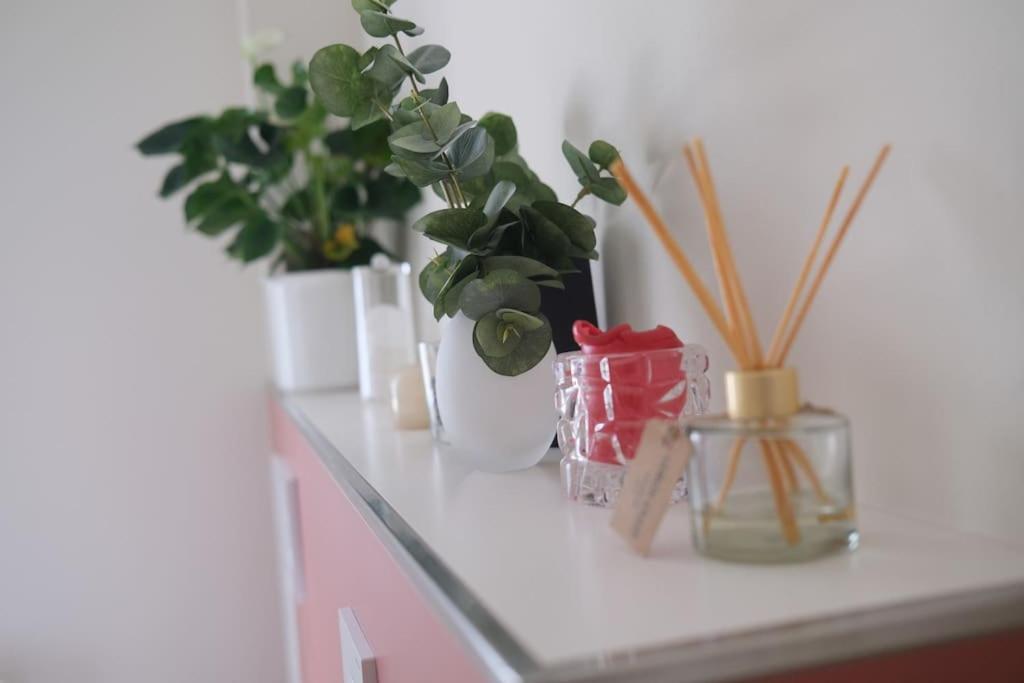 Ferienwohnung Arendsee آرندزيه المظهر الخارجي الصورة